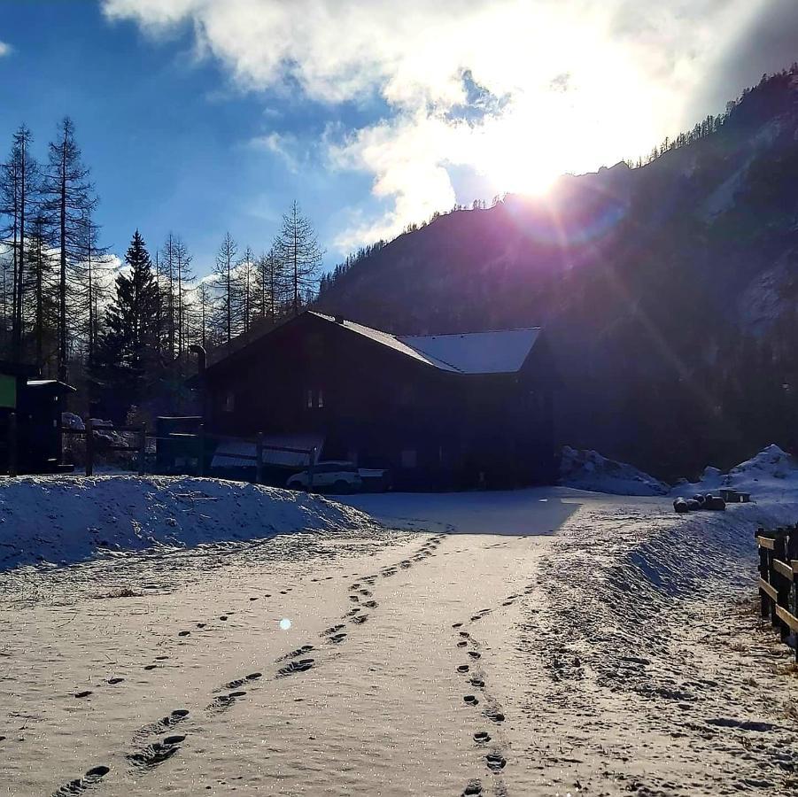 Chalet Rosa Dei Monti Piamprato Exterior photo