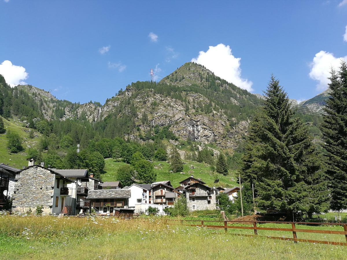 Chalet Rosa Dei Monti Piamprato Exterior photo
